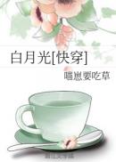 君知否之爷本红妆