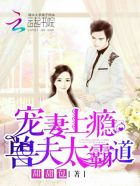 宠妻上瘾:兽夫太霸道