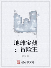 地球宝藏:冒险王