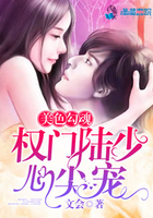 美色勾魂:权门陆少心尖宠