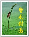 总裁非常宠婚