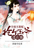 小姐不愁嫁:抢个王爷进山寨